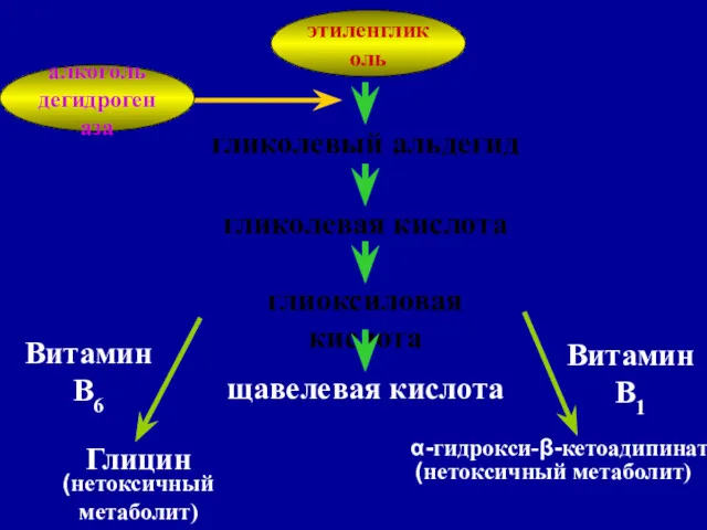 этиленгликоль гликолевый альдегид α-гидрокси-β-кетоадипинат (нетоксичный метаболит) Витамин В1 (нетоксичный метаболит) Витамин В6 алкоголь дегидрогеназа