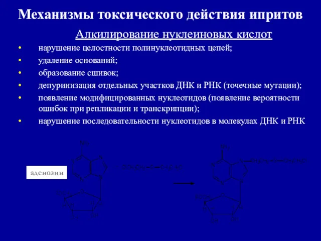 Механизмы токсического действия ипритов Алкилирование нуклеиновых кислот нарушение целостности полинуклеотидных