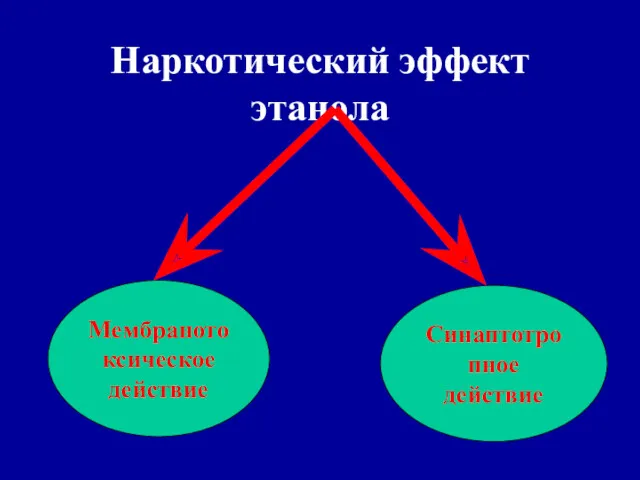 Наркотический эффект этанола Мембранотоксическое действие Синаптотропное действие