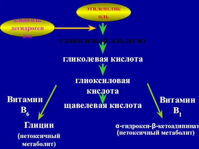 этиленгликоль гликолевый альдегид α-гидрокси-β-кетоадипинат (нетоксичный метаболит) Витамин В1 (нетоксичный метаболит) Витамин В6 алкоголь дегидрогеназа