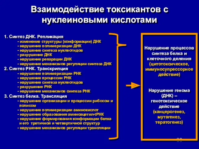 Взаимодействие токсикантов с нуклеиновыми кислотами 1. Синтез ДНК. Репликация -