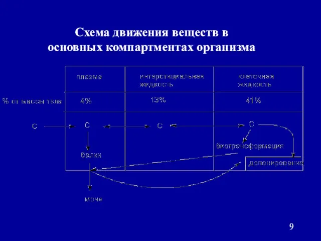 Схема движения веществ в основных компартментах организма