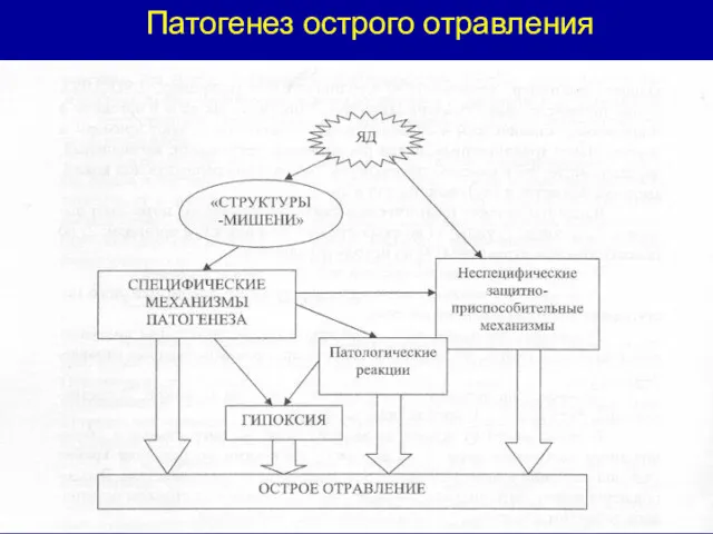 Патогенез острого отравления