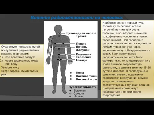 Влияние радиоактивности на человека: Существует несколько путей поступления радиоактивных веществ