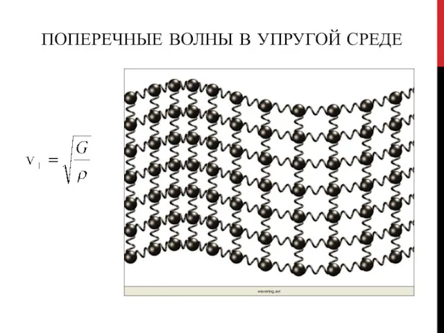 ПОПЕРЕЧНЫЕ ВОЛНЫ В УПРУГОЙ СРЕДЕ