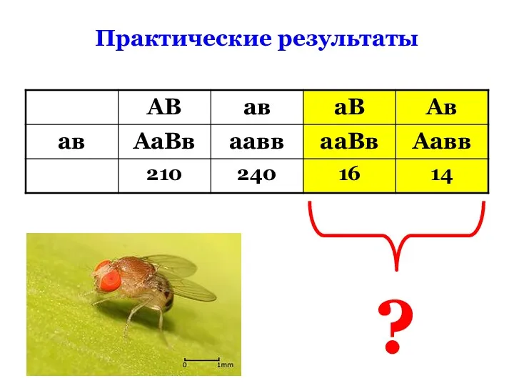 Практические результаты ?