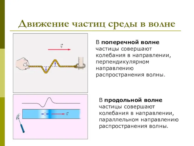 Движение частиц среды в волне В поперечной волне частицы совершают