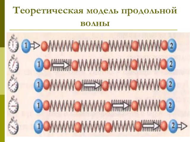 Теоретическая модель продольной волны