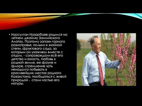 Нурсултан Назарбаев родился на летнем джайляу Заилийского Алатау. Поэтому запахи горного разнотравья, полыни