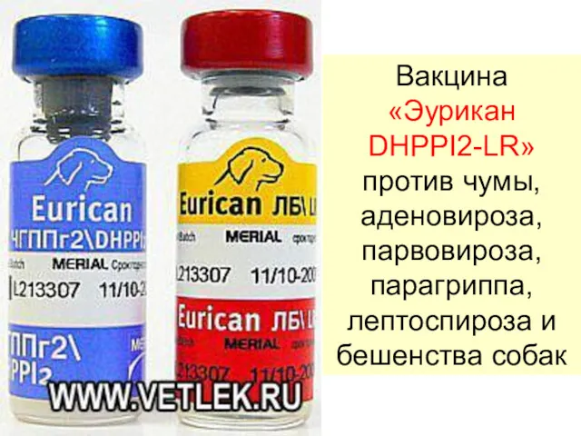 Вакцина «Эурикан DHPPI2-LR» против чумы, аденовироза, парвовироза, парагриппа, лептоспироза и бешенства собак