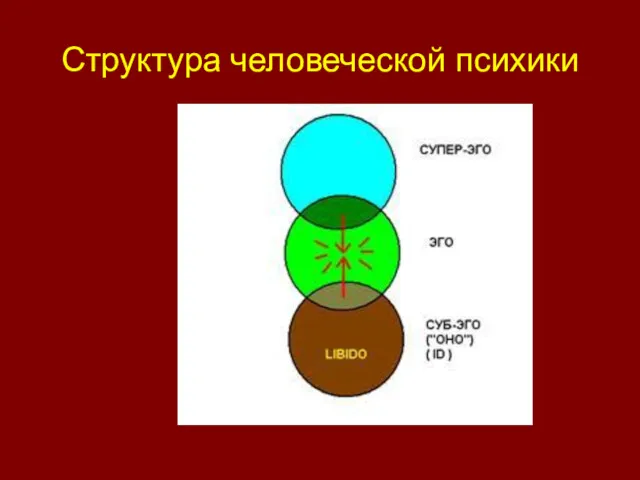 Структура человеческой психики