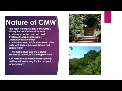 Nature of CMW The main natural wealth of the CMW