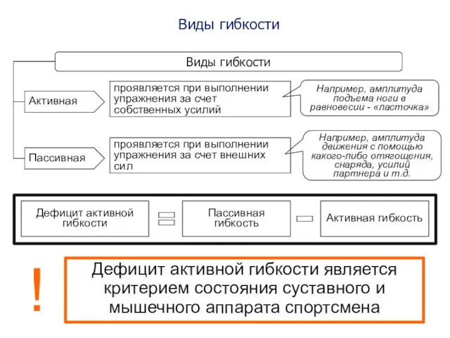 Виды гибкости Виды гибкости Активная проявляется при выполнении упражнения за