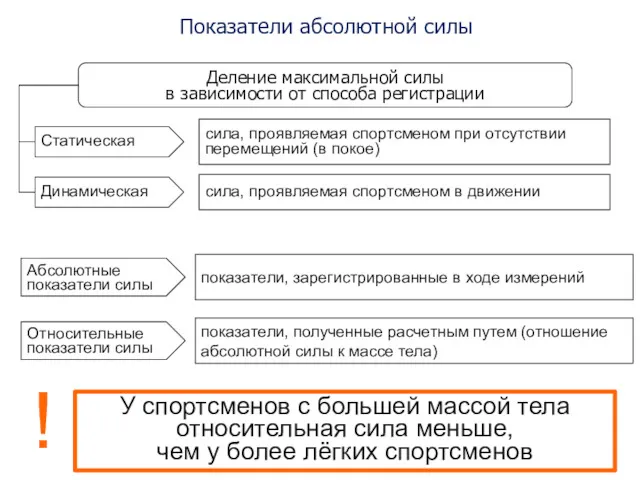 У спортсменов с большей массой тела относительная сила меньше, чем