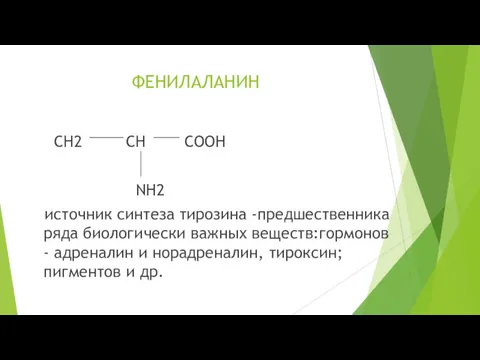 ФЕНИЛАЛАНИН CH2 CH COOH NH2 источник синтеза тирозина -предшественника ряда