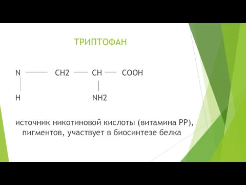 ТРИПТОФАН N CH2 CH COOH H NH2 источник никотиновой кислоты
