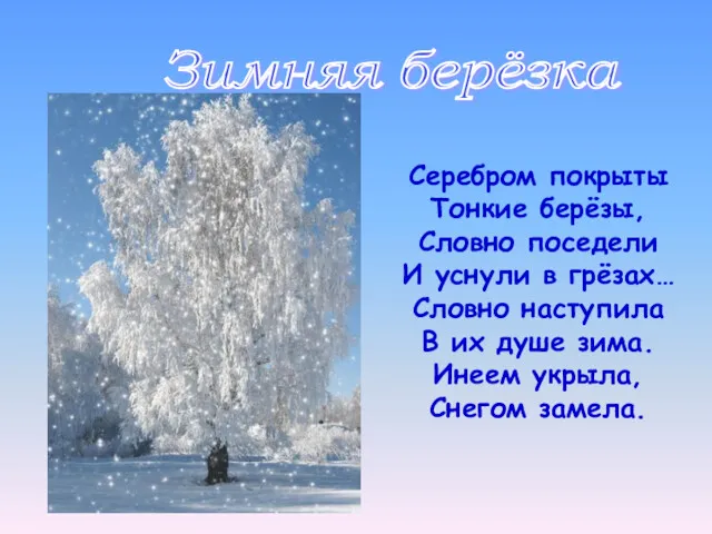 Зимняя берёзка Серебром покрыты Тонкие берёзы, Словно поседели И уснули