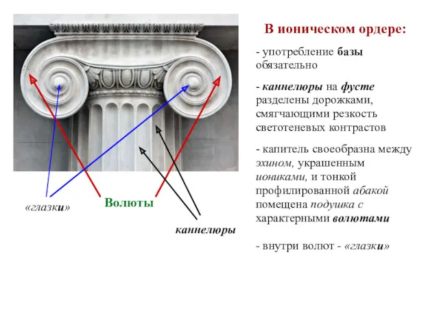 В ионическом ордере: - употребление базы обязательно - каннелюры на