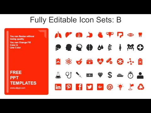 Fully Editable Icon Sets: B