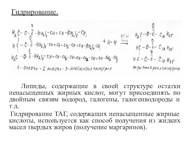 Гидрирование. Липиды, содержащие в своей структуре остатки ненасыщенных жирных кислот,