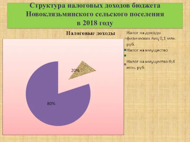 Структура налоговых доходов бюджета Новоклязьминского сельского поселения в 2018 году