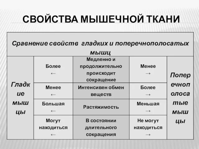 СВОЙСТВА МЫШЕЧНОЙ ТКАНИ