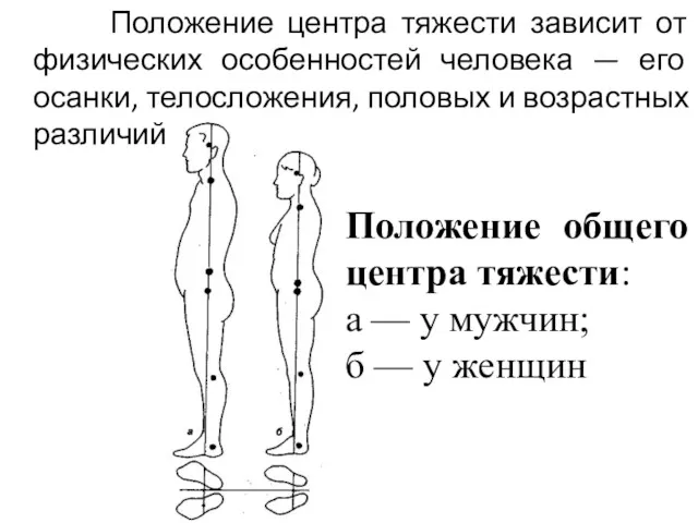 Положение центра тяжести зависит от физических особенностей человека — его осанки, телосложения, половых