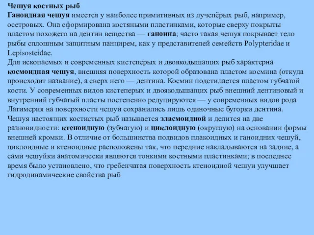 Чешуя костных рыб Ганоидная чешуя имеется у наиболее примитивных из