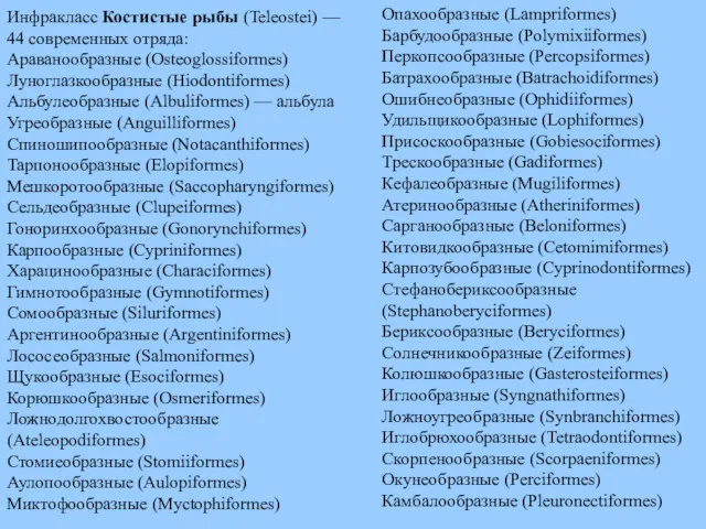 Инфракласс Костистые рыбы (Teleostei) — 44 современных отряда: Араванообразные (Osteoglossiformes)