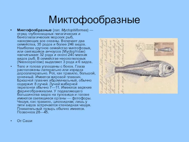 Миктофообразные Миктофообразные (лат. Myctophiformes) — отряд глубоководных пелагических и бентопелагических