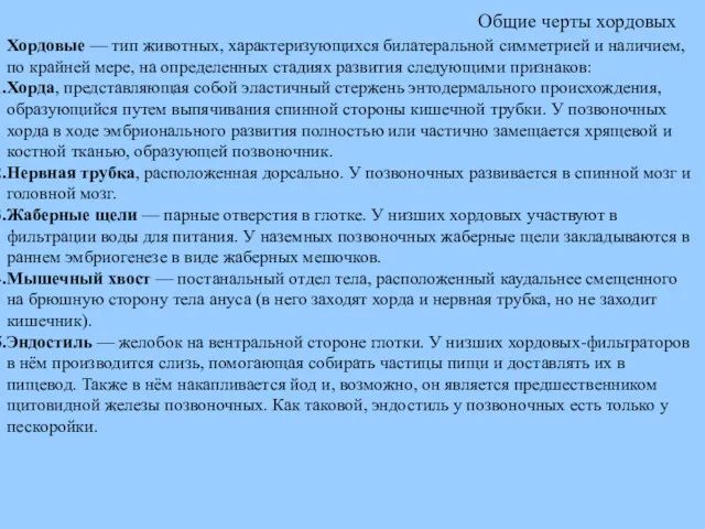 Общие черты хордовых Хордовые — тип животных, характеризующихся билатеральной симметрией