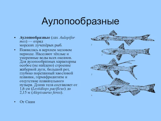 Аулопообразные Аулопообразные (лат. Aulopiformes) — отряд морских лучепёрых рыб. Появились