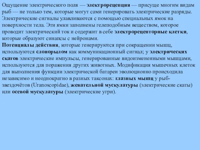 Ощущение электрического поля — электрорецепция — присуще многим видам рыб