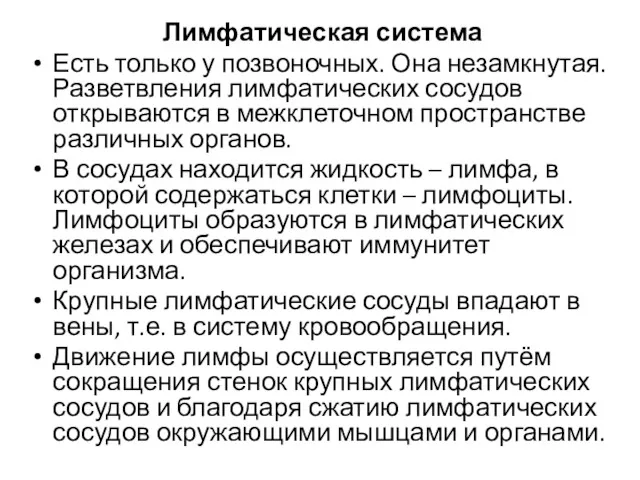 Лимфатическая система Есть только у позвоночных. Она незамкнутая. Разветвления лимфатических