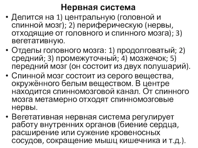 Нервная система Делится на 1) центральную (головной и спинной мозг);