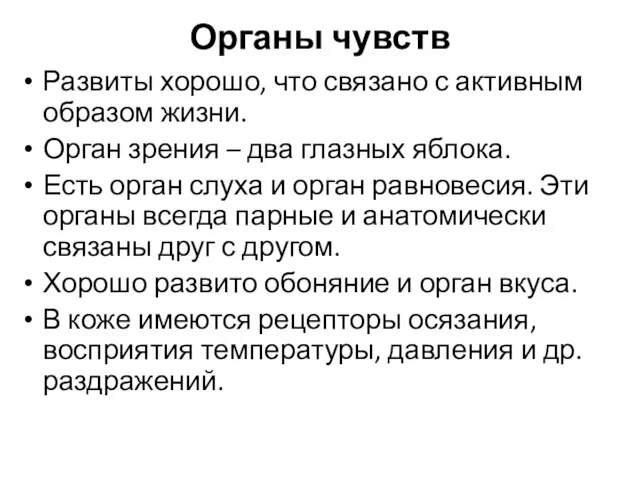 Органы чувств Развиты хорошо, что связано с активным образом жизни.