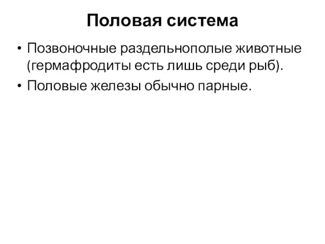 Половая система Позвоночные раздельнополые животные (гермафродиты есть лишь среди рыб). Половые железы обычно парные.