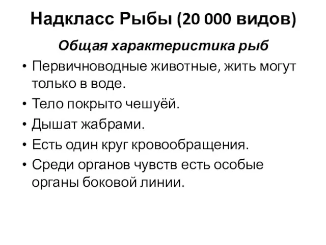 Надкласс Рыбы (20 000 видов) Общая характеристика рыб Первичноводные животные,