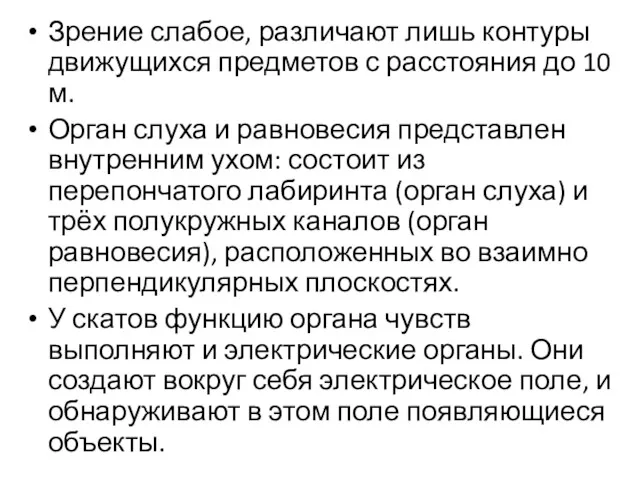 Зрение слабое, различают лишь контуры движущихся предметов с расстояния до