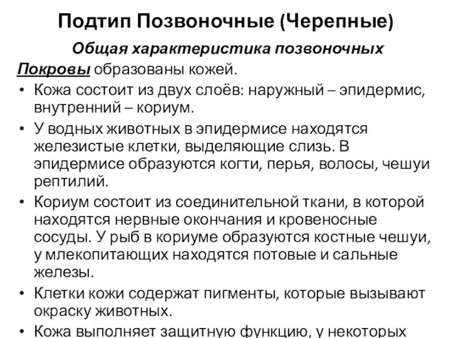 Подтип Позвоночные (Черепные) Общая характеристика позвоночных Покровы образованы кожей. Кожа