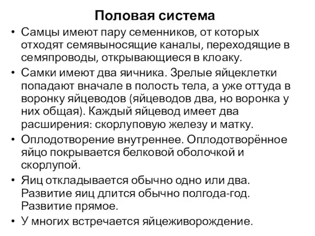 Половая система Самцы имеют пару семенников, от которых отходят семявыносящие