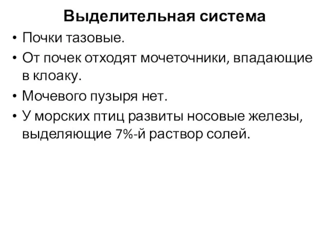 Выделительная система Почки тазовые. От почек отходят мочеточники, впадающие в