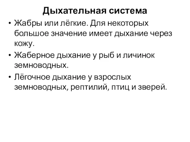 Дыхательная система Жабры или лёгкие. Для некоторых большое значение имеет