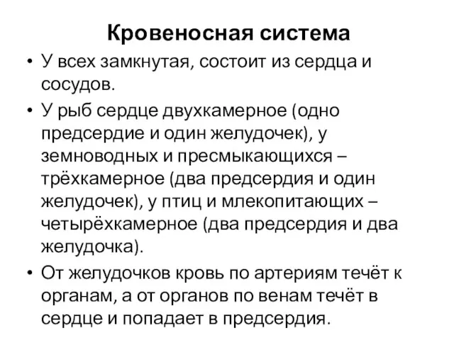 Кровеносная система У всех замкнутая, состоит из сердца и сосудов.