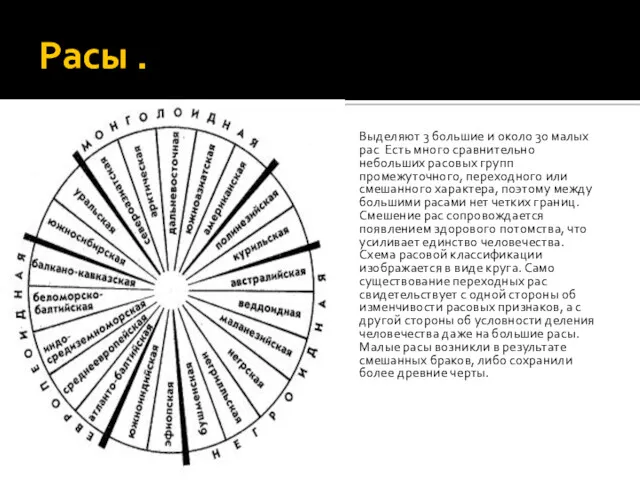 Расы . Выделяют 3 большие и около 30 малых рас
