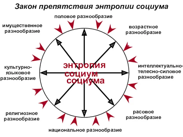 Закон препятствия энтропии социума половое разнообразие возрастное разнообразие интеллектуально- телесно-силовое