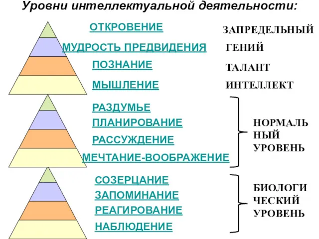 Уровни интеллектуальной деятельности: НАБЛЮДЕНИЕ ЗАПОМИНАНИЕ РЕАГИРОВАНИЕ СОЗЕРЦАНИЕ МЕЧТАНИЕ-ВООБРАЖЕНИЕ РАССУЖДЕНИЕ ПЛАНИРОВАНИЕ