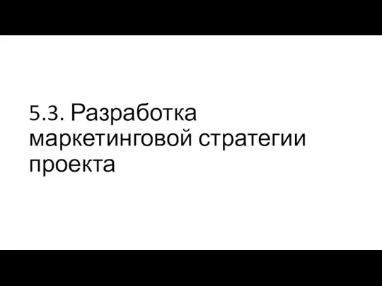 5.3. Разработка маркетинговой стратегии проекта