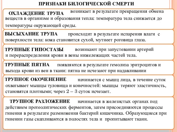 начинается в железистых органах под действием протеолитических ферментов, затем присоединяются