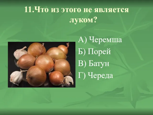 11.Что из этого не является луком? А) Черемша Б) Порей В) Батун Г) Череда